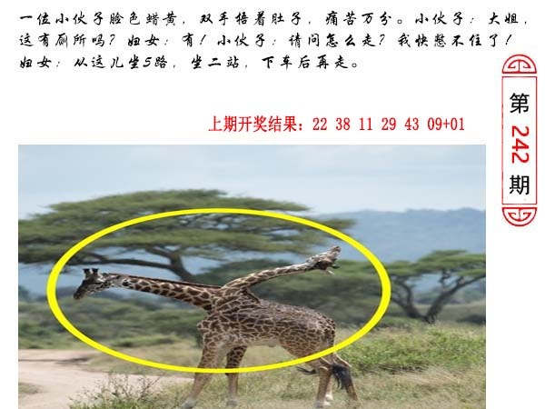 242期澳门生活幽默[图]