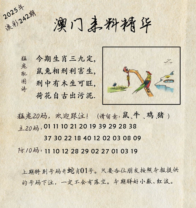 242期澳门来料精华[图]