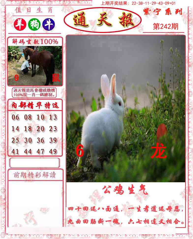 242期救通报[图]