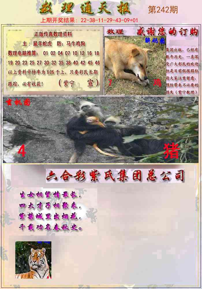 242期数通报[图]