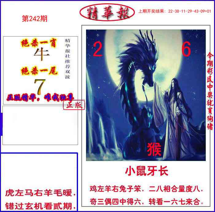 242期新精华报报[图]