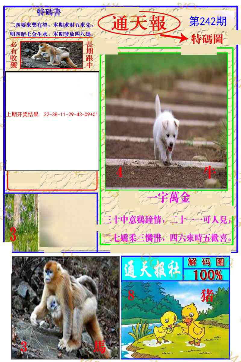 242期通天特解图[图]