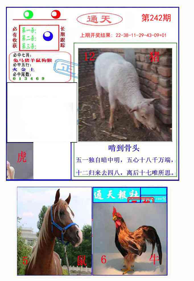 242期通天杀波图2[图]