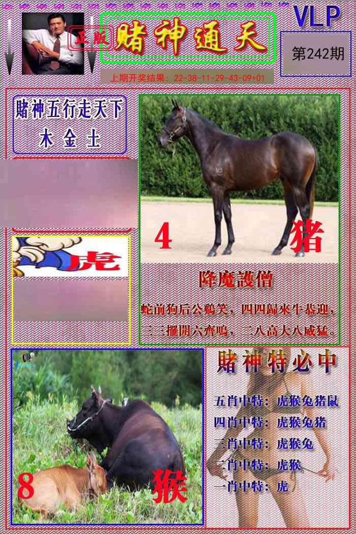 242期赌神通天报[图]