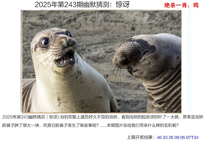 243期幽默猜测[图]