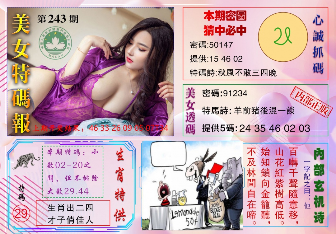 243期美女特码报[图]