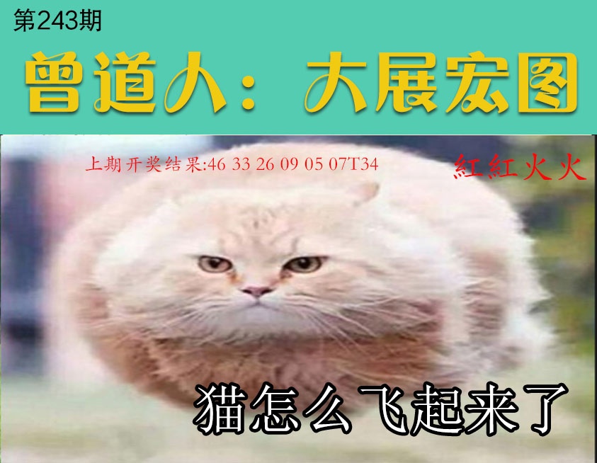 243期大展宏图[图]