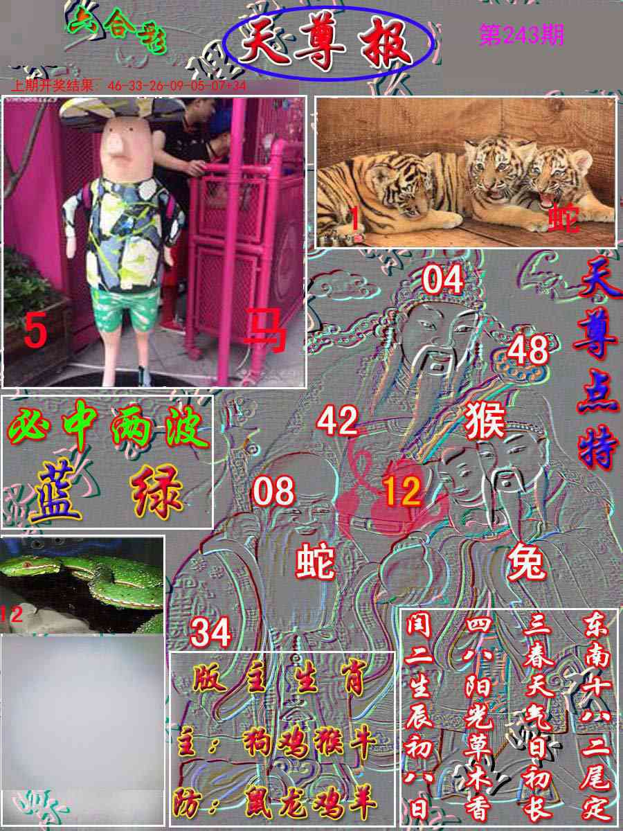 243期天尊报[图]