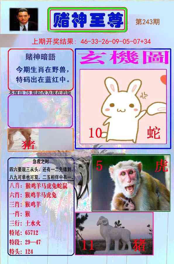 243期赌神至尊[图]