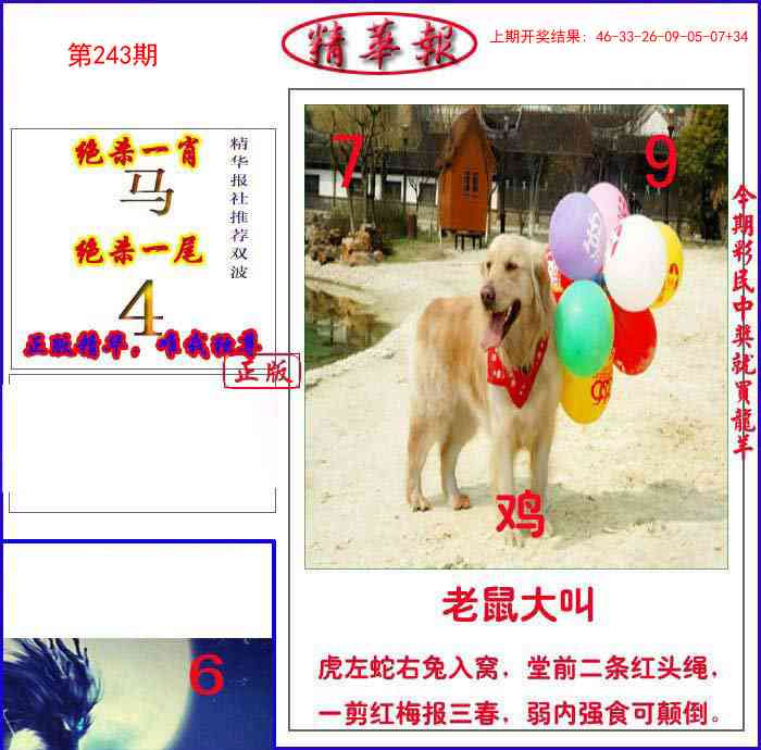 243期新精华报报[图]
