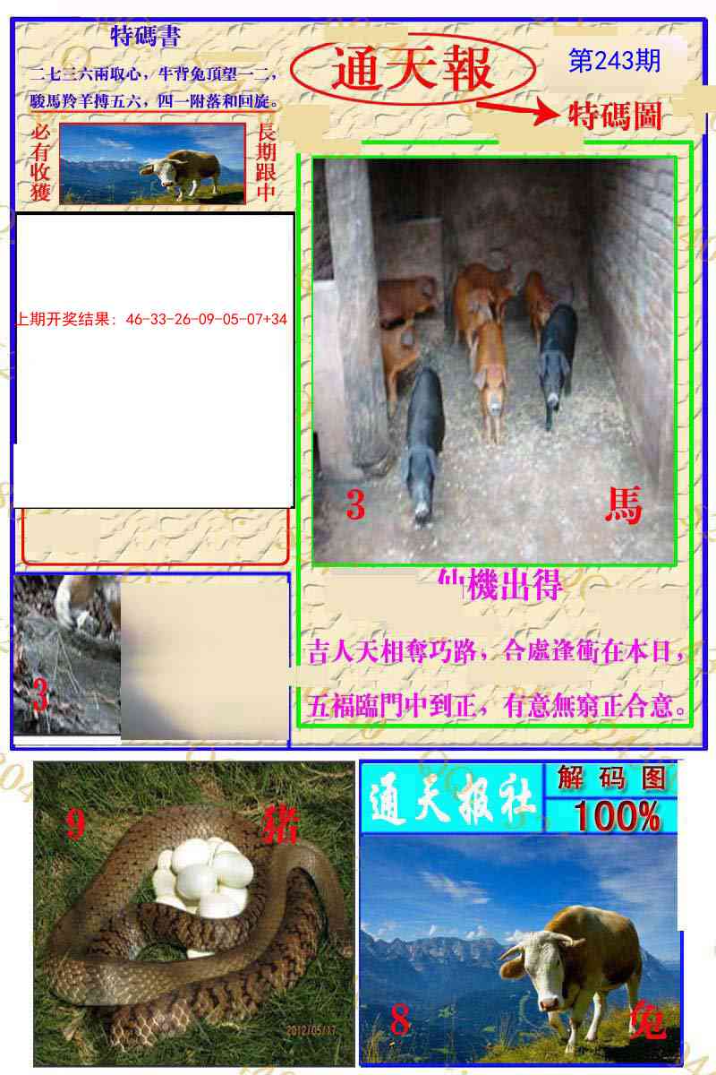 243期通天特解图[图]