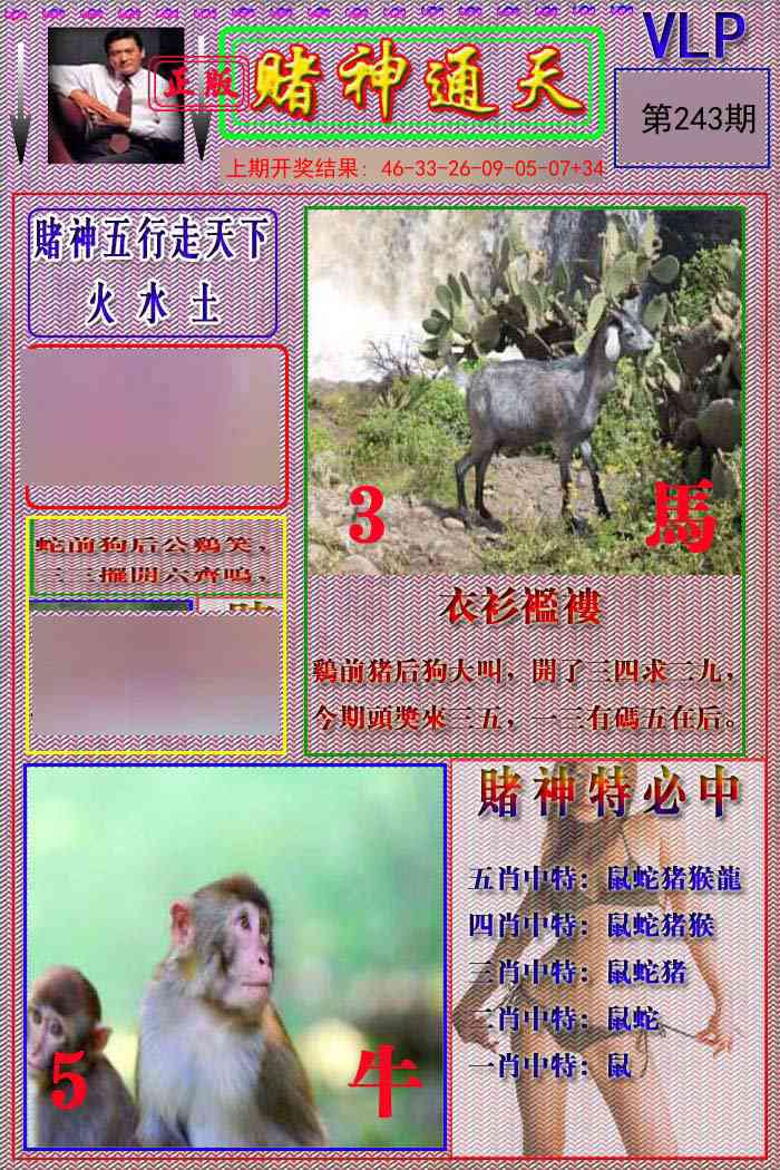 243期赌神通天报[图]