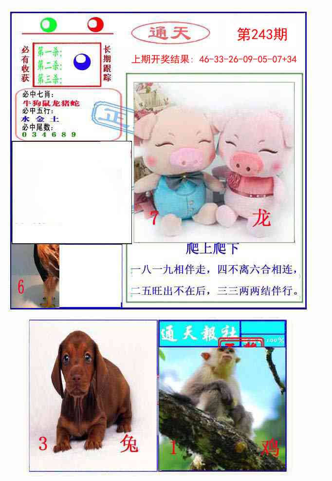 243期通天杀波图2[图]