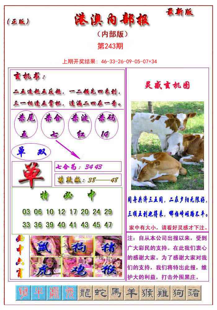 243期港澳报[图]