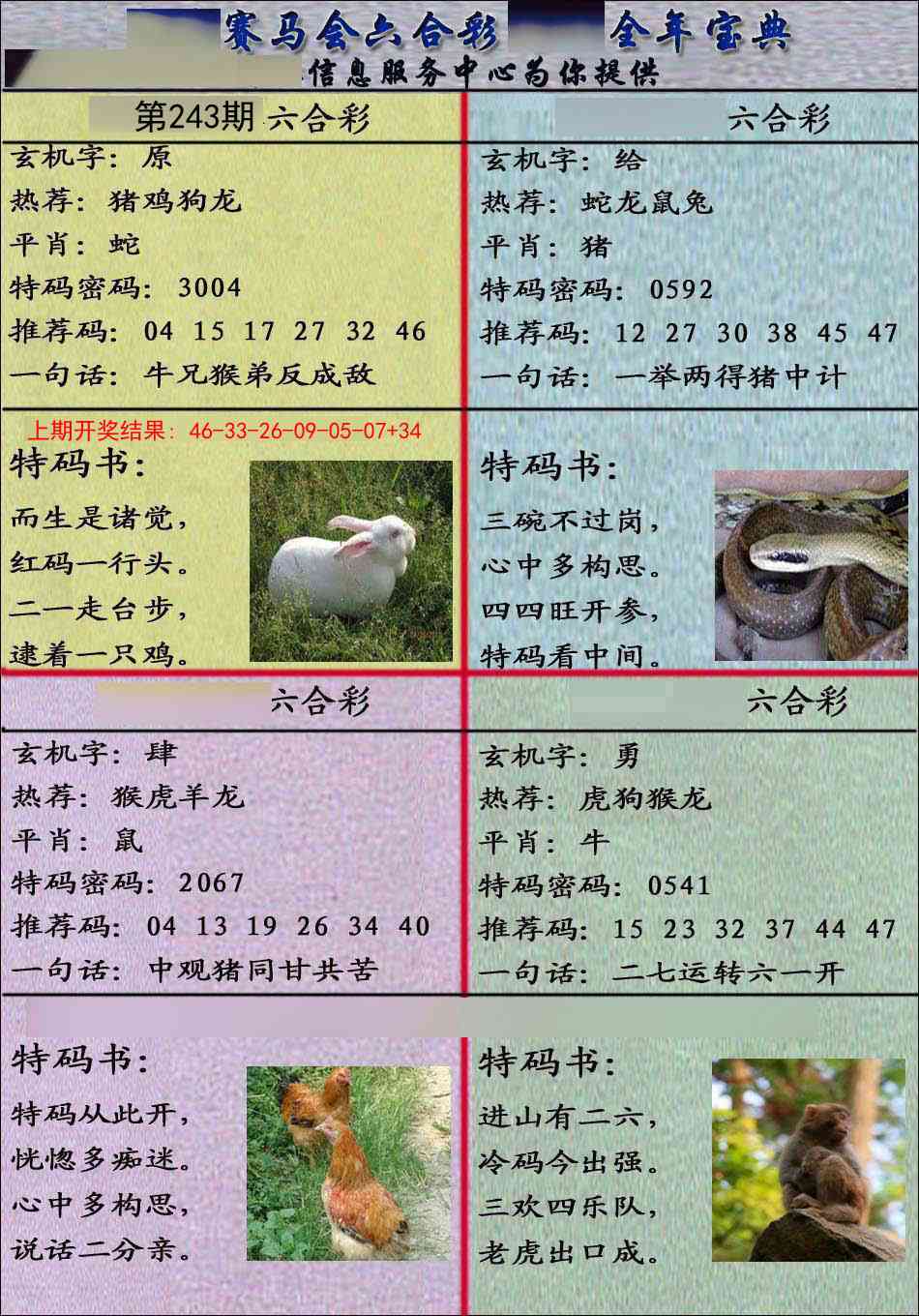 243期宝典报[图]