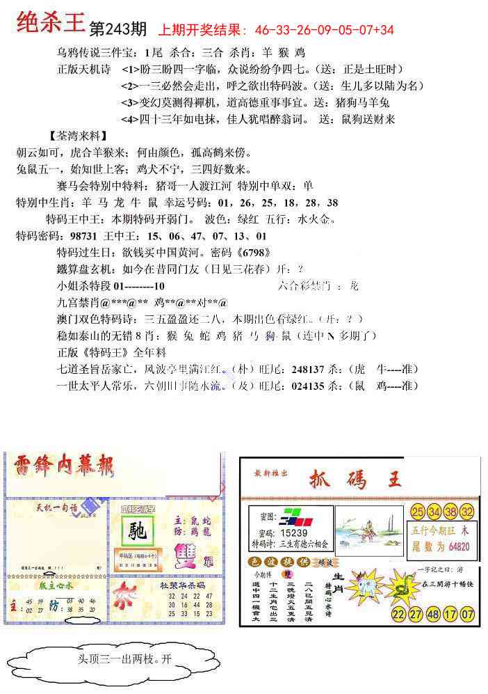 243期蓝天报(绝杀王)[图]