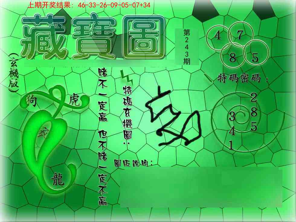243期九龍玄机报[图]