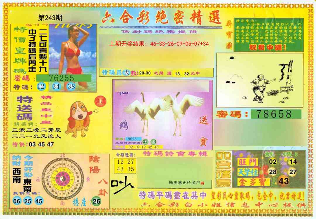 243期绝密精选A[图]