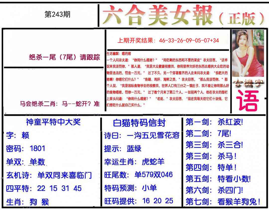 243期美女报[图]