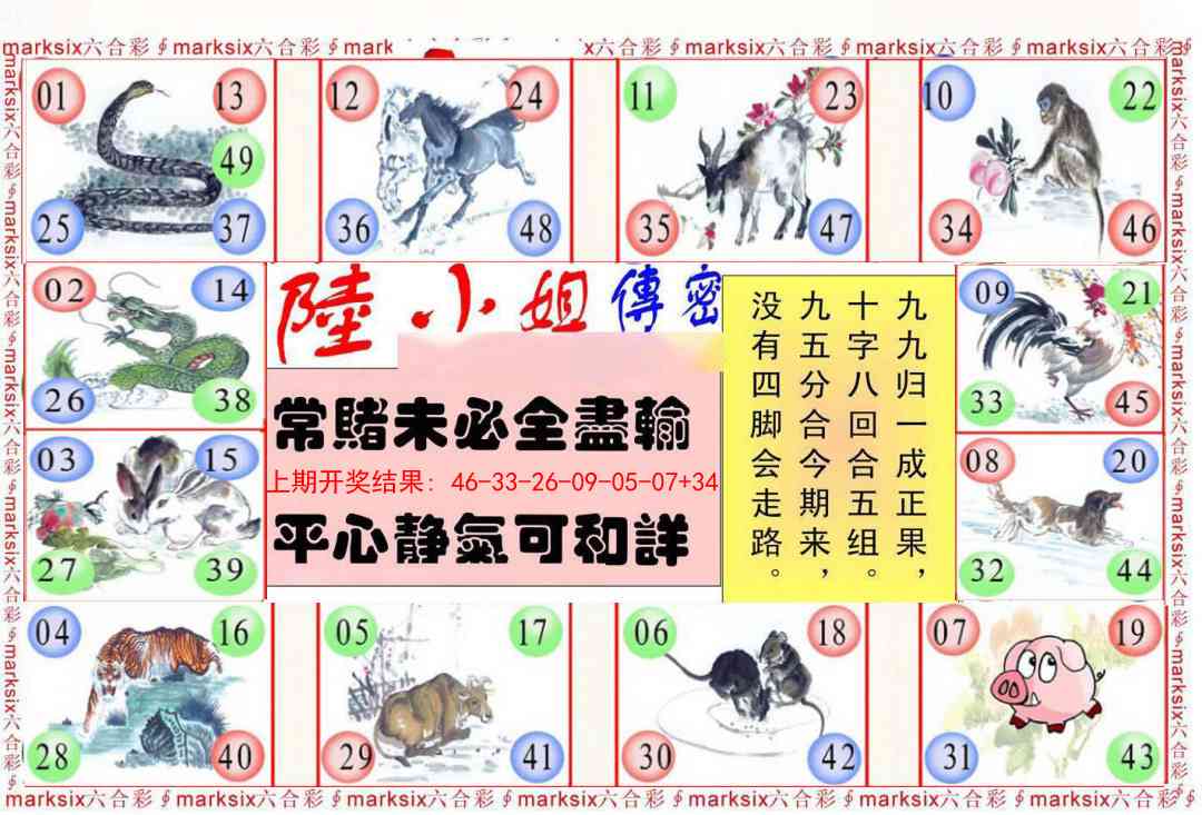 243期陆小姐传密B[图]