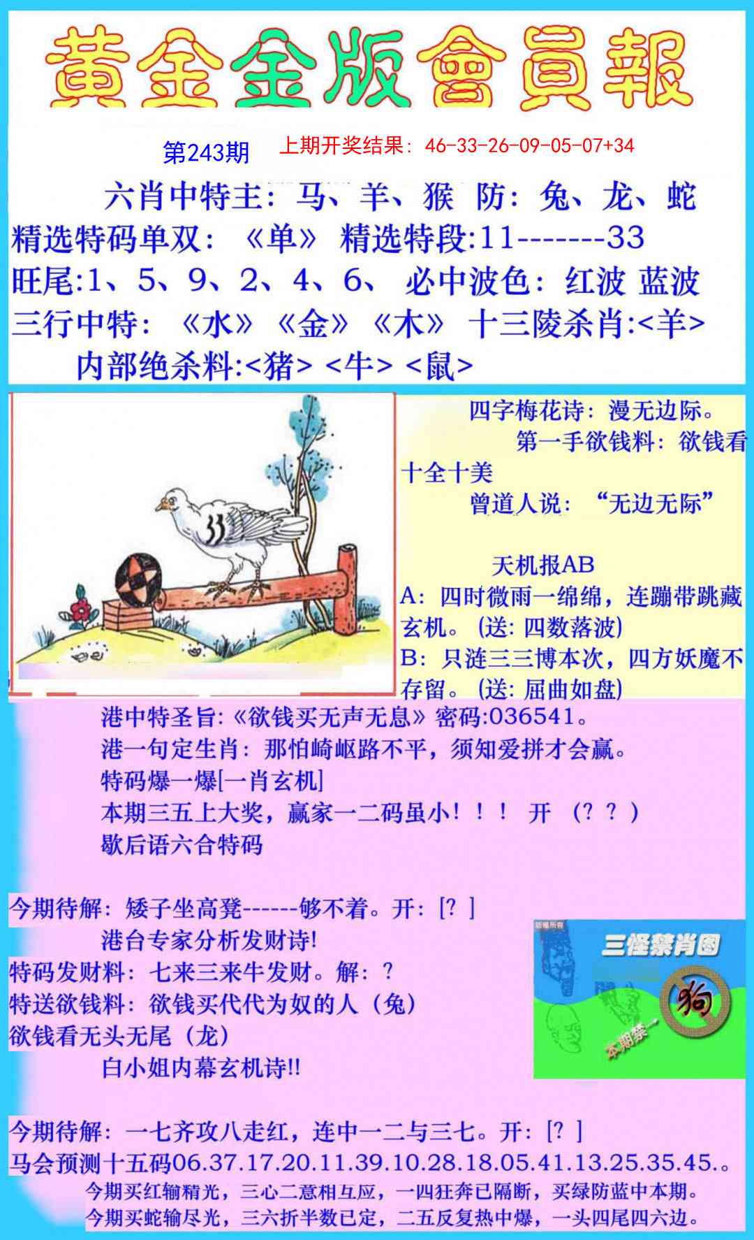 243期黄金金版会员报[图]