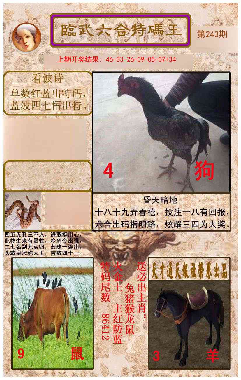 243期临武六合特码王[图]