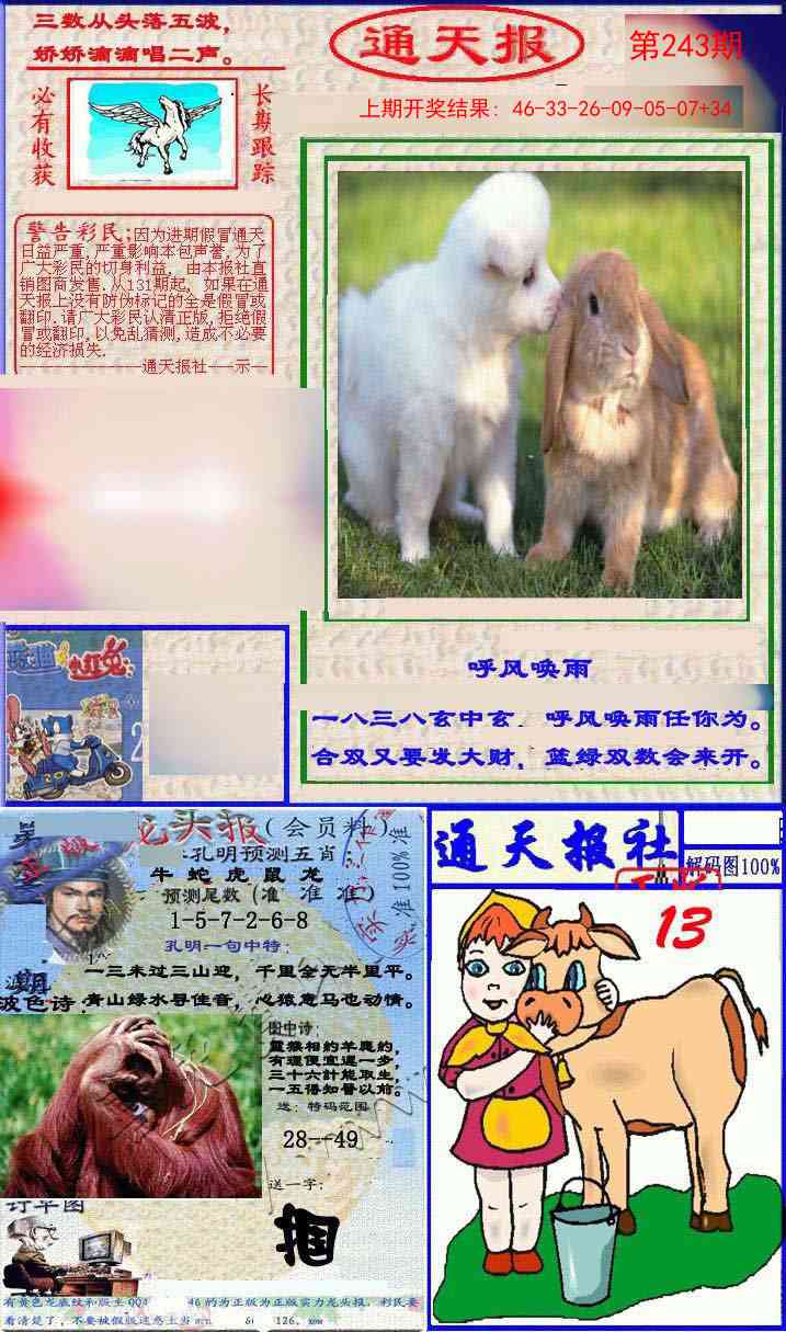 243期实力通天报[图]