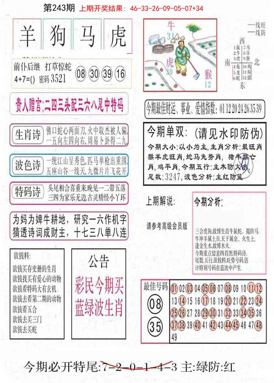 243期凤凰闲情A[图]