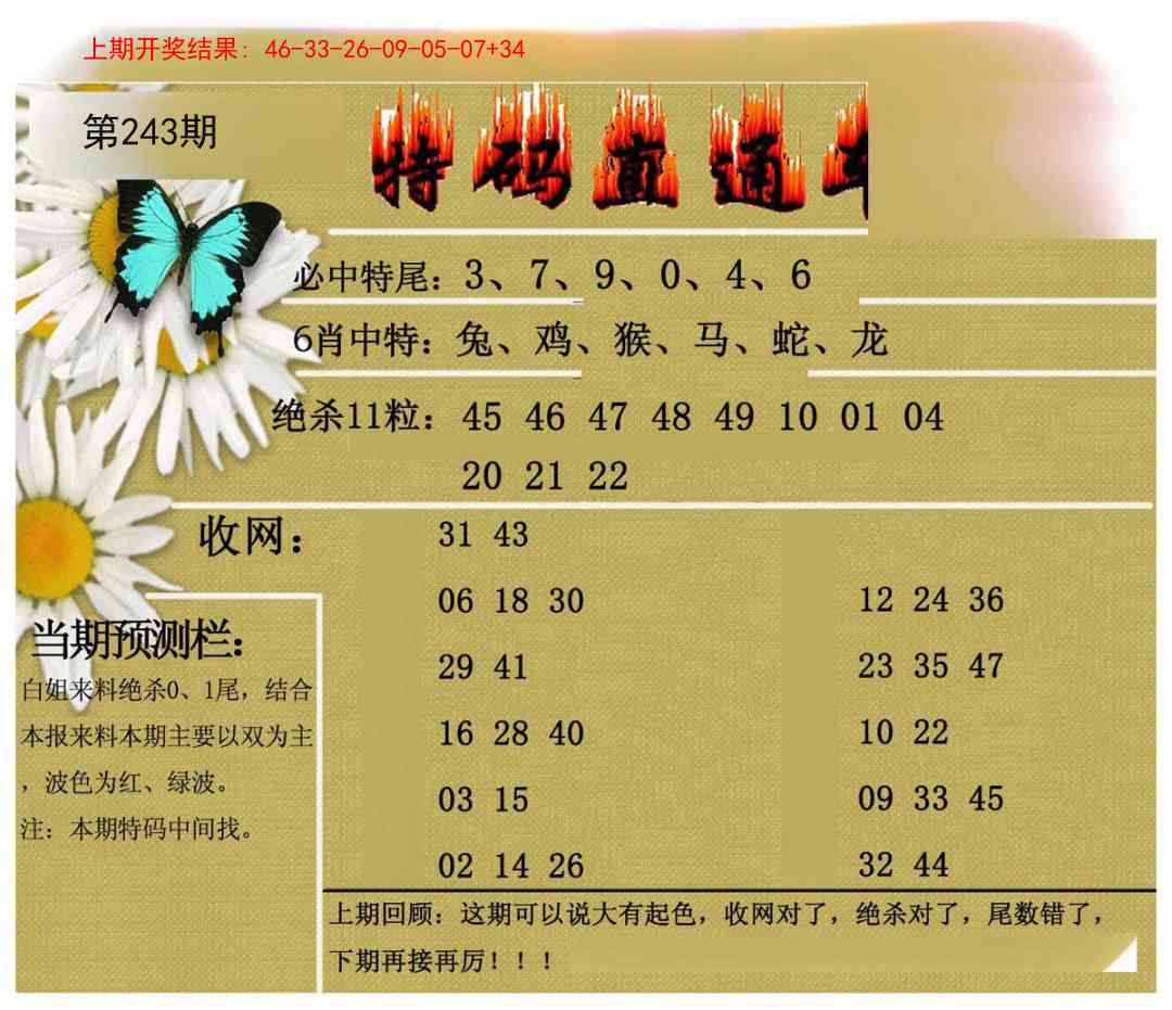 243期特码直通车[图]