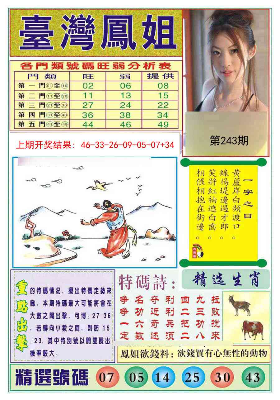 243期台湾凤姐[图]