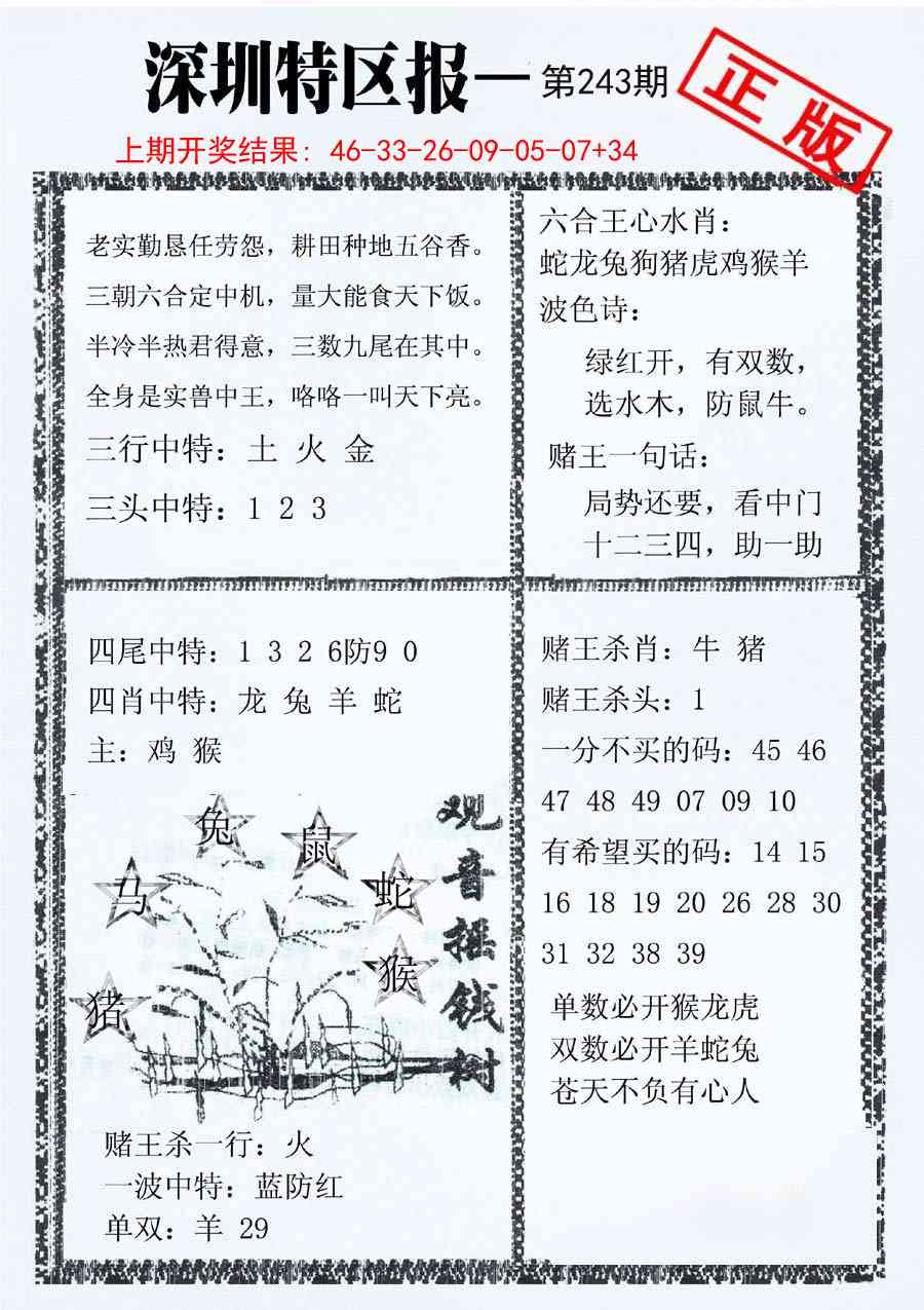 243期深圳特区报A[图]