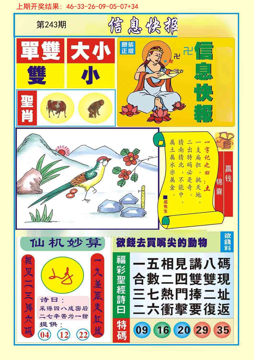 243期信息快报A[图]