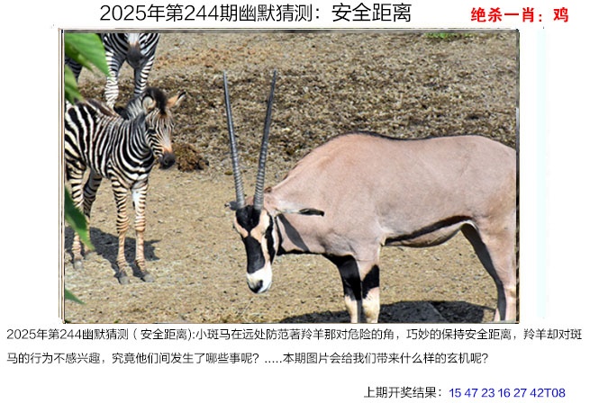 244期幽默猜测[图]