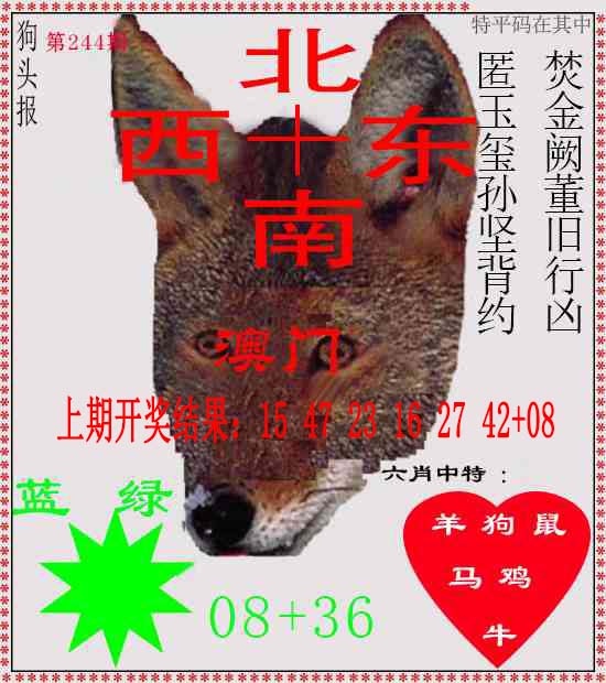 244期狗头报[图]