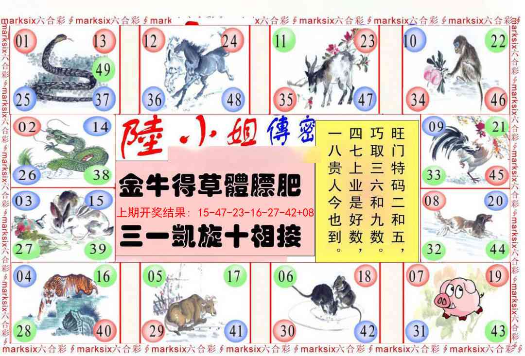 244期陆小姐传密B[图]