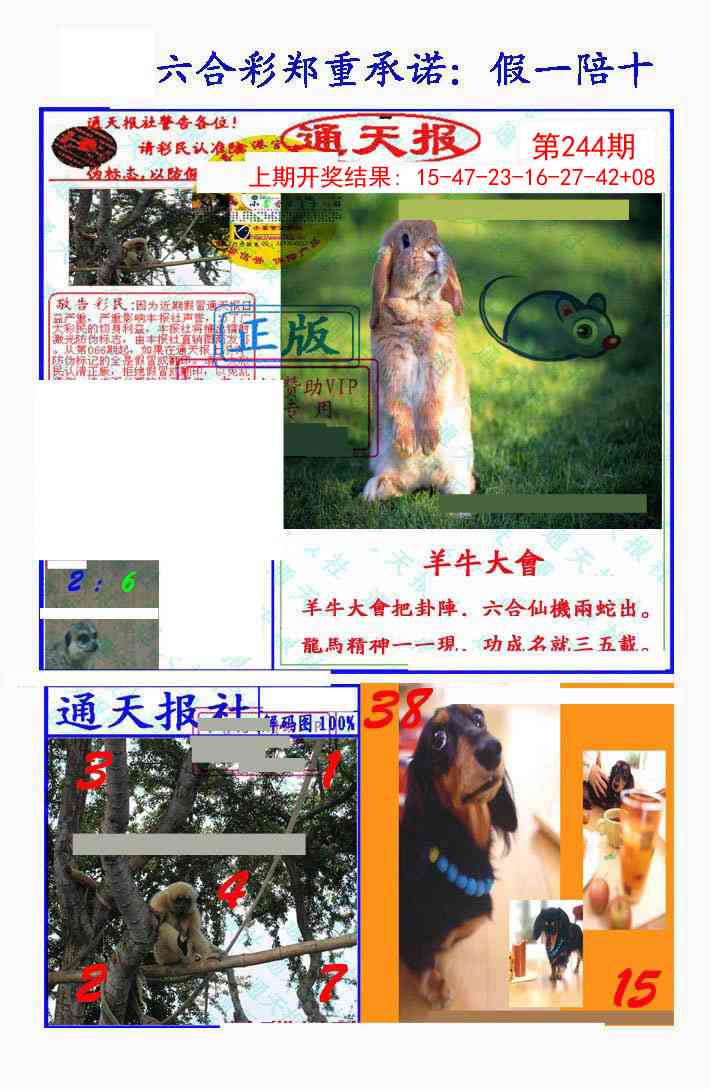 244期假一陪十通天报[图]