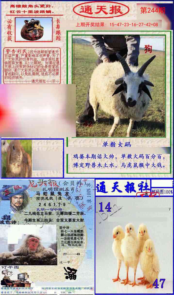 244期实力通天报[图]