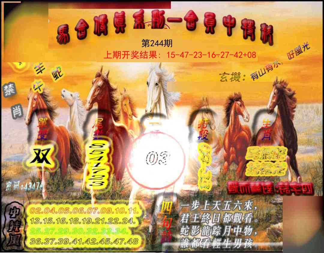 244期马会传真-会员报[图]