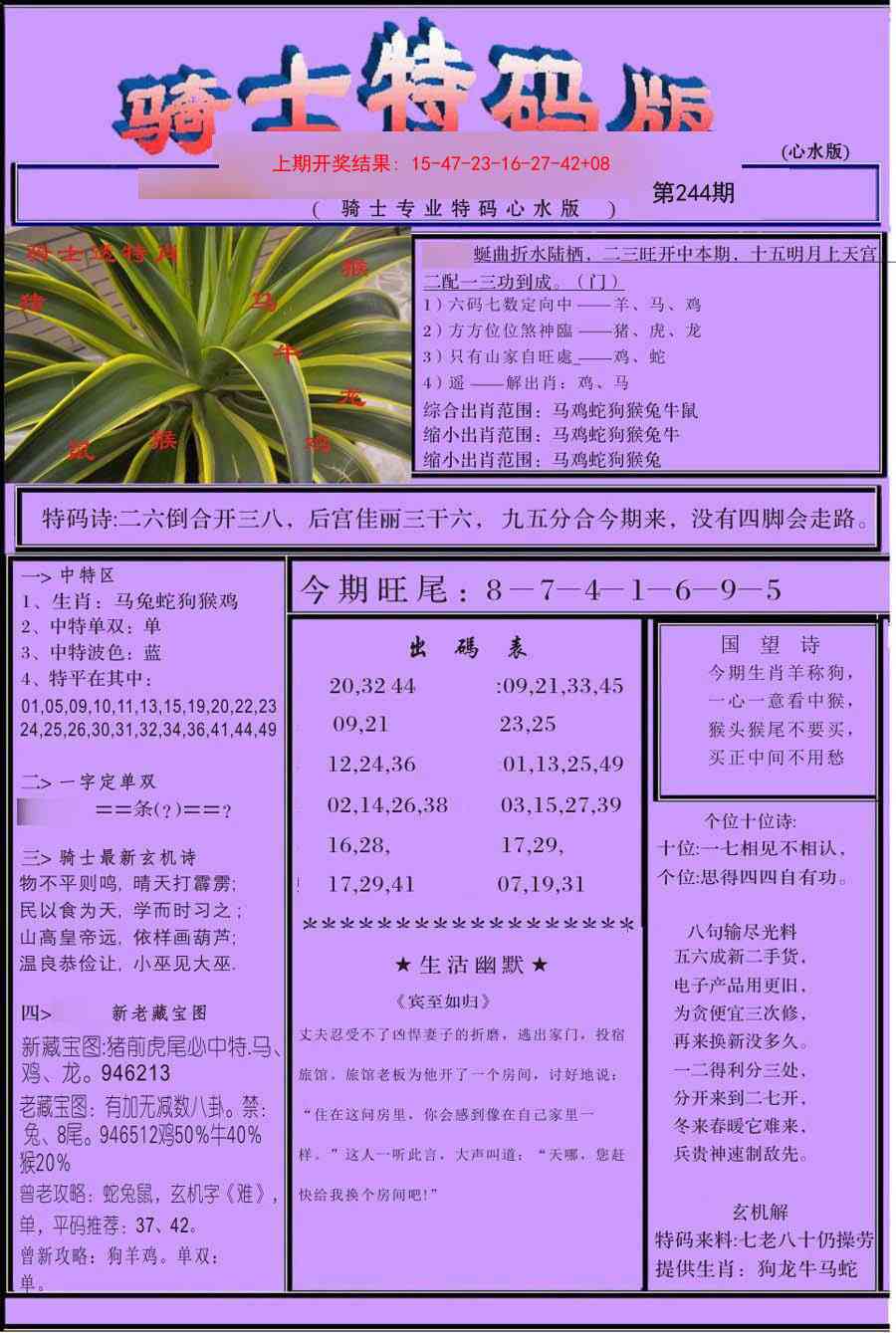 244期骑士特码版[图]