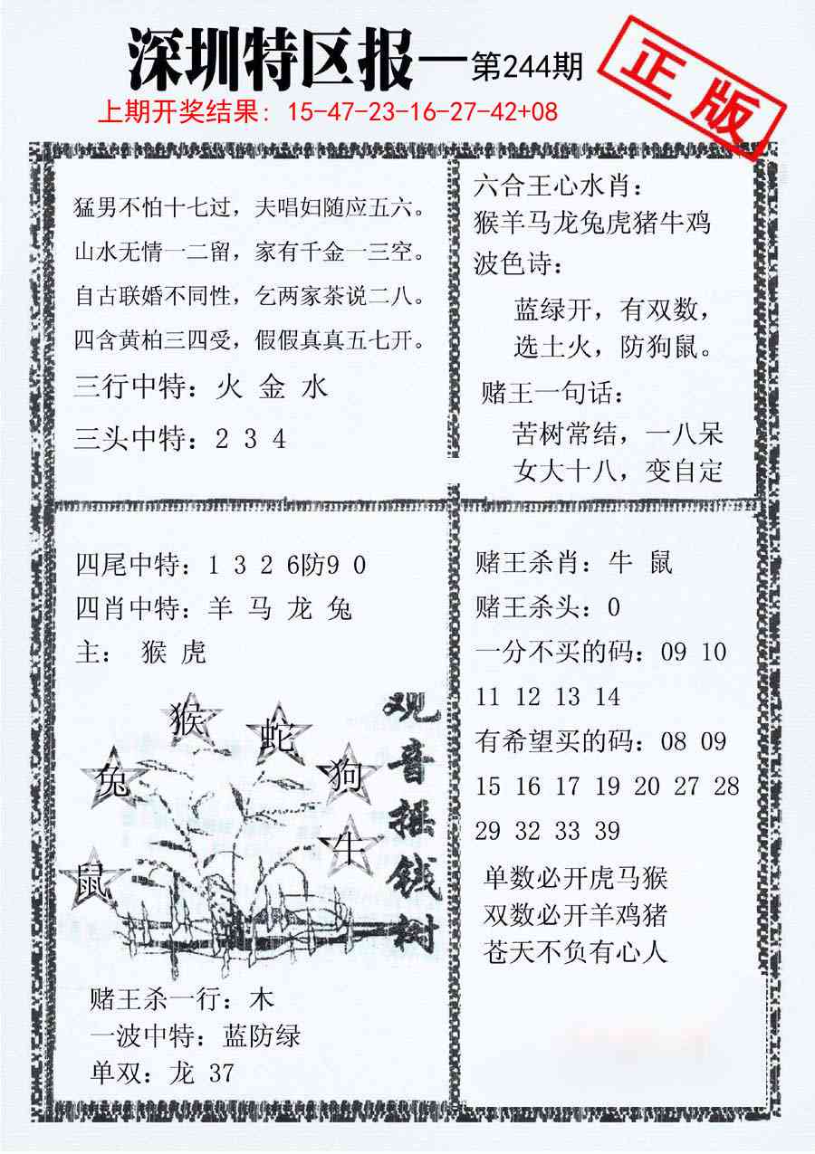 244期深圳特区报A[图]