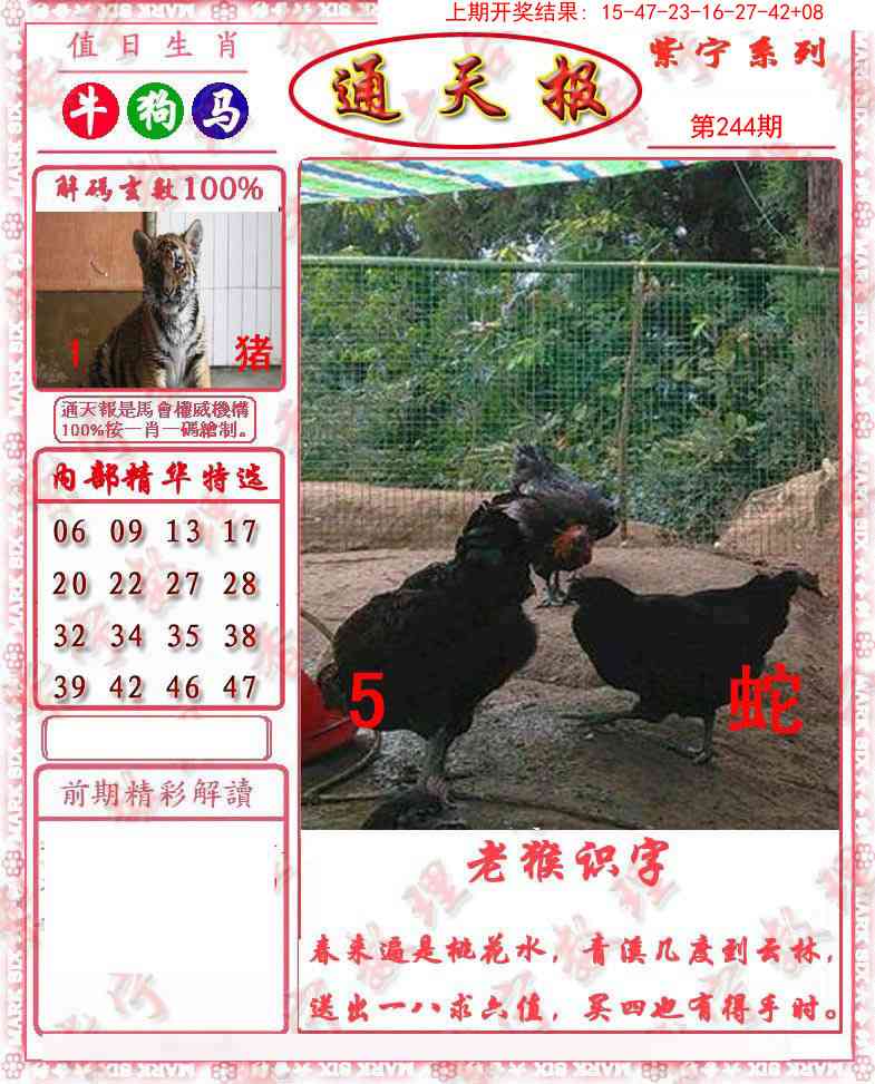 244期救通报[图]