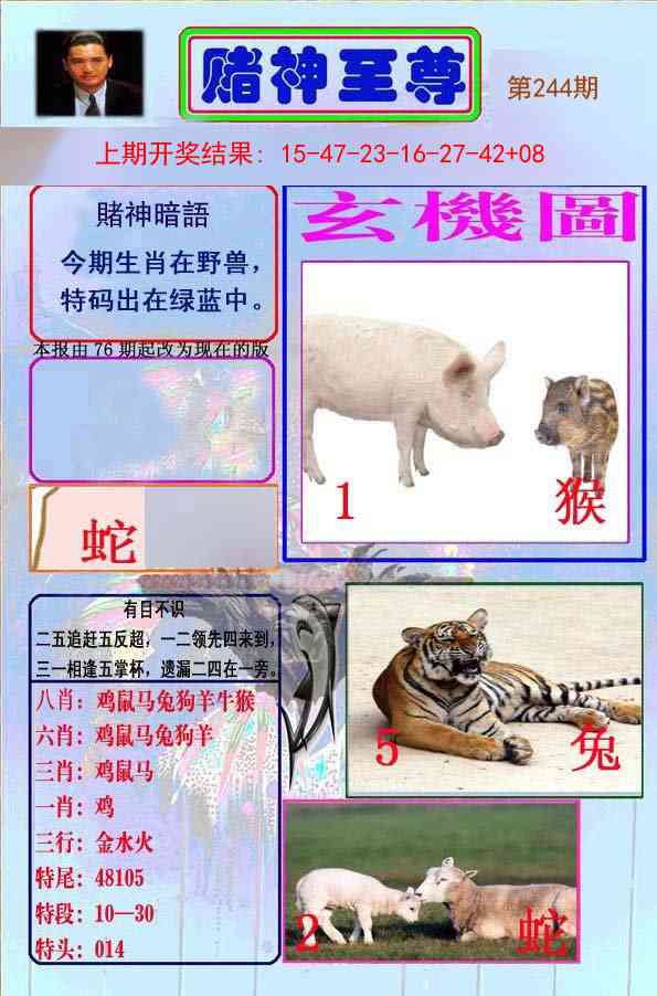244期赌神至尊[图]
