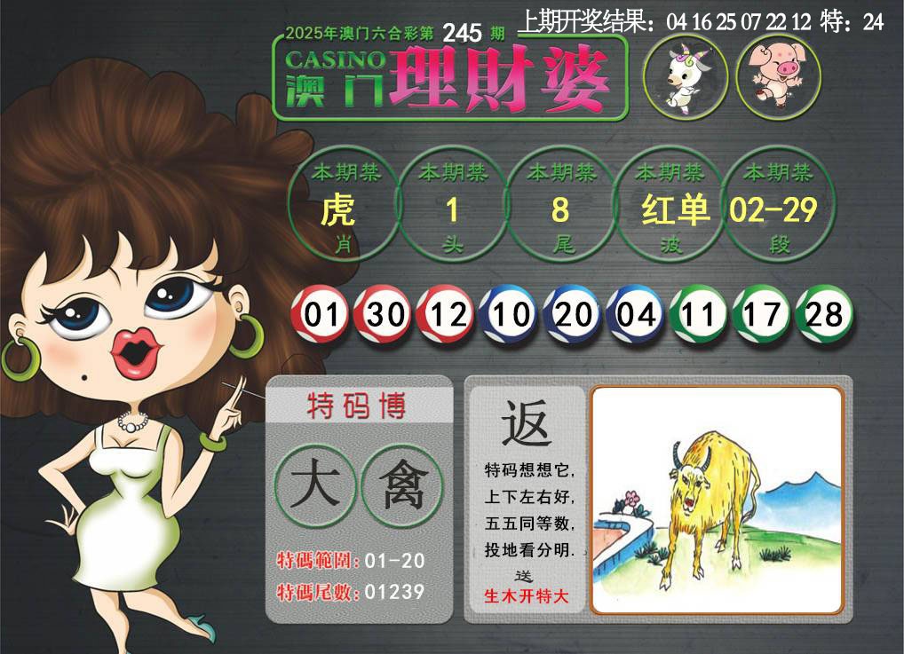 245期澳门理财婆[图]