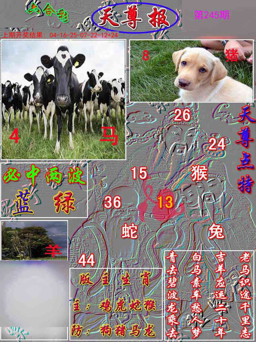 245期天尊报[图]