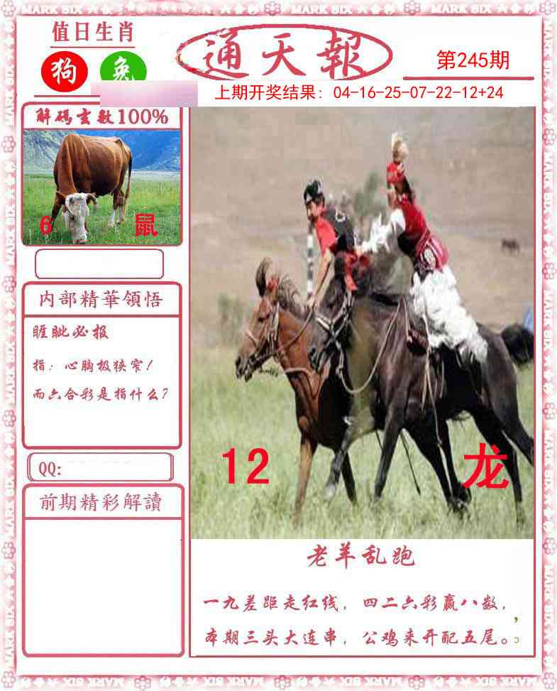 245期正版通天报[图]