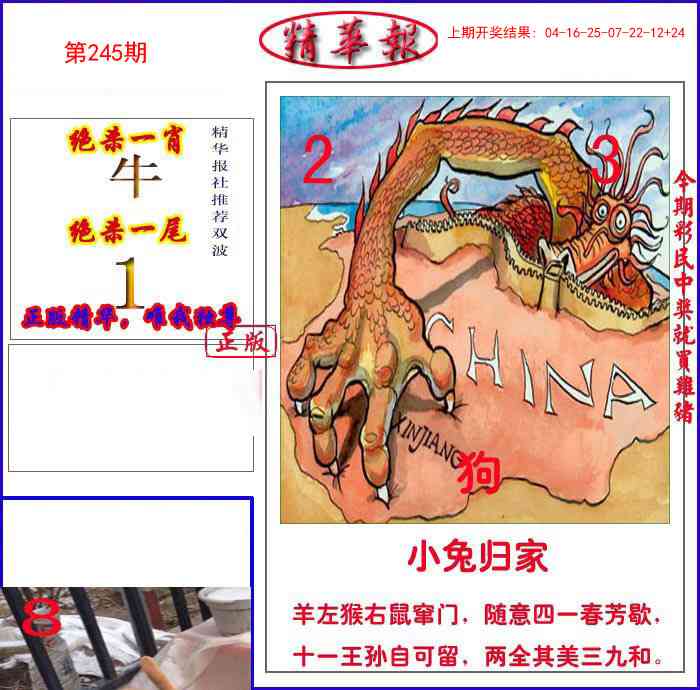 245期新精华报报[图]