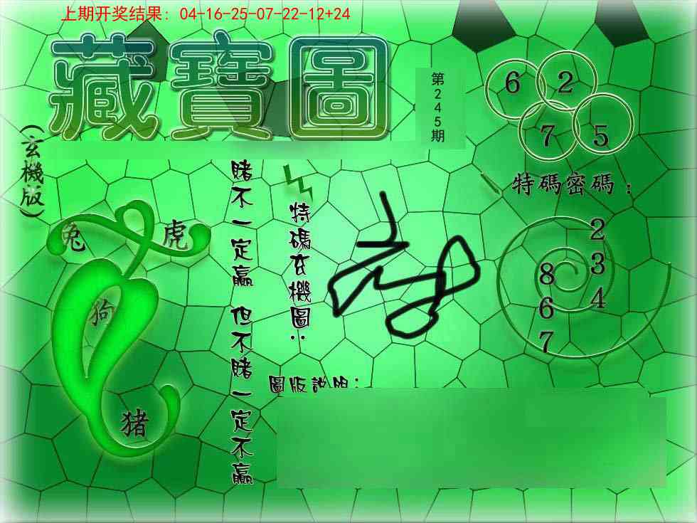 245期九龍玄机报[图]