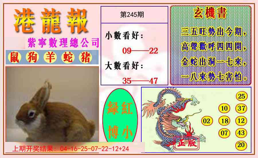 245期港龙报[图]