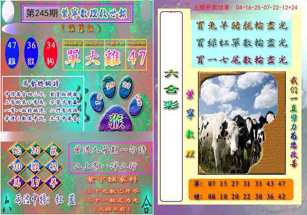 245期数理救世报[图]