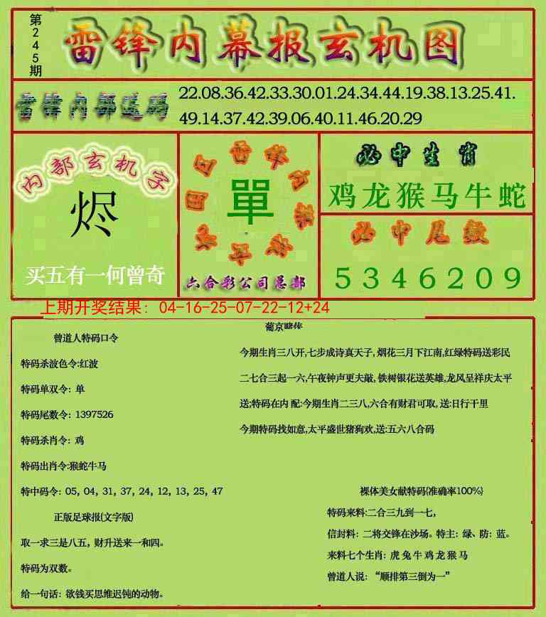 245期雷锋玄机报[图]
